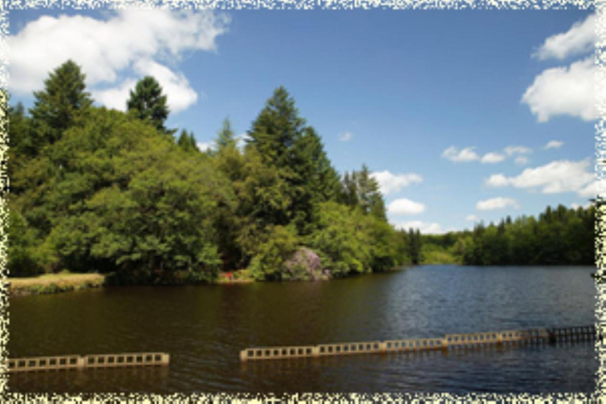Hotellerie De Plein Air Camping Leychoisier Bonnac-la-Cote Bagian luar foto