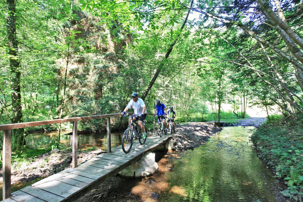 Hotellerie De Plein Air Camping Leychoisier Bonnac-la-Cote Bagian luar foto